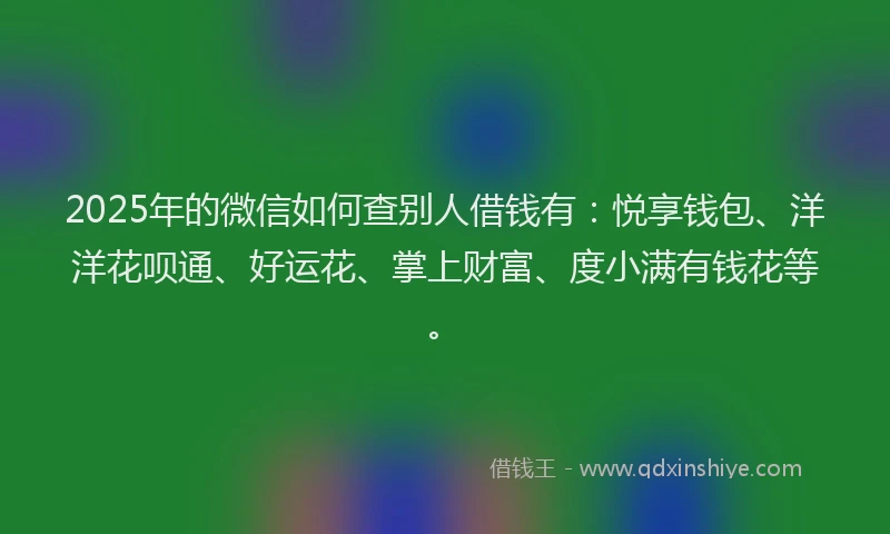 2025年的微信如何查别人借钱有：悦享钱包、洋洋花呗通、好运花、掌上财富、度小满有钱花等。