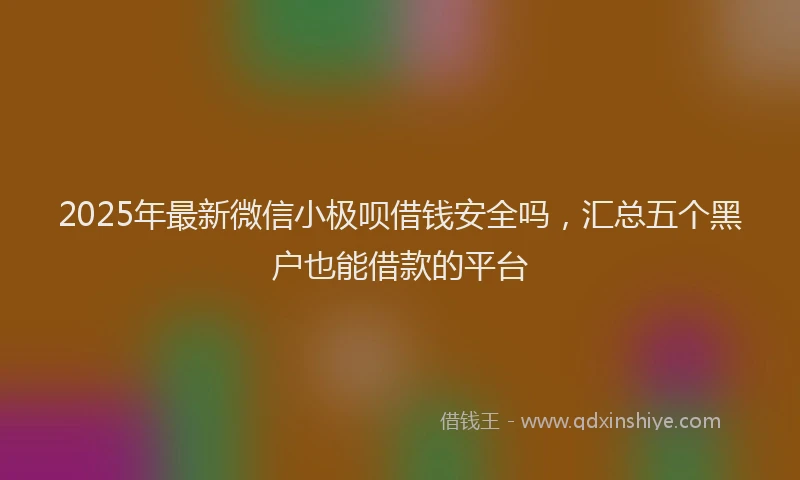 2025年最新微信小极呗借钱安全吗，汇总五个黑户也能借款的平台