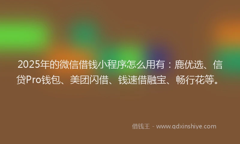 2025年的微信借钱小程序怎么用有：鹿优选、信贷Pro钱包、美团闪借、钱速借融宝、畅行花等。