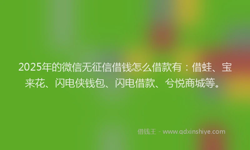 2025年的微信无征信借钱怎么借款有：借蛙、宝来花、闪电侠钱包、闪电借款、兮悦商城等。