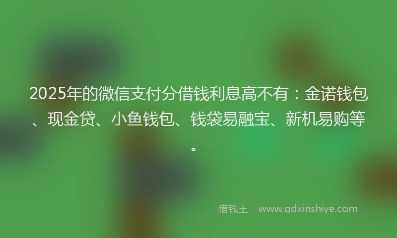 2025年的微信支付分借钱利息高不有：金诺钱包、现金贷、小鱼钱包、钱袋易融宝、新机易购等。