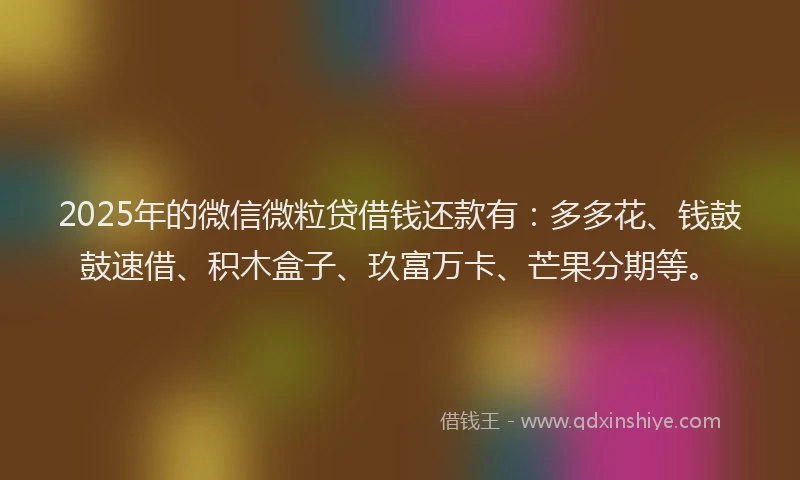 2025年的微信微粒贷借钱还款有：多多花、钱鼓鼓速借、积木盒子、玖富万卡、芒果分期等。