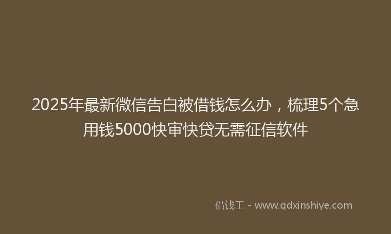 2025年最新微信告白被借钱怎么办，梳理5个急用钱5000快审快贷无需征信软件
