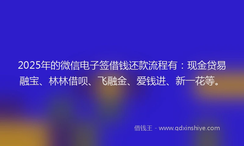 2025年的微信电子签借钱还款流程有：现金贷易融宝、林林借呗、飞融金、爱钱进、新一花等。