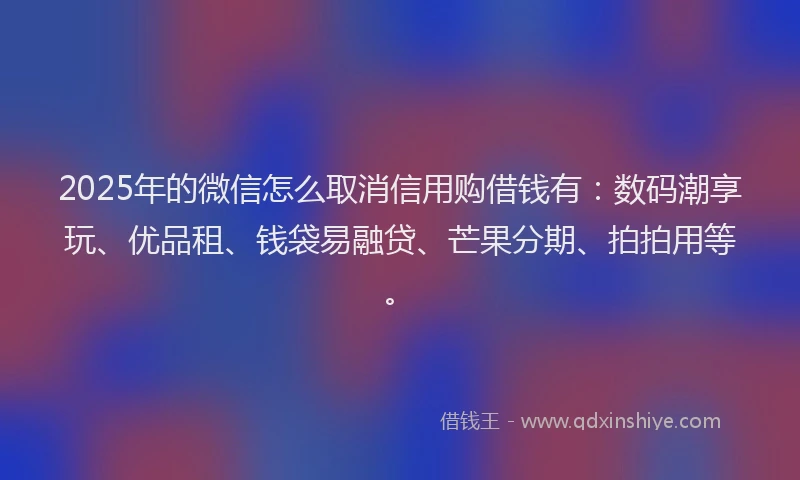 2025年的微信怎么取消信用购借钱有：数码潮享玩、优品租、钱袋易融贷、芒果分期、拍拍用等。