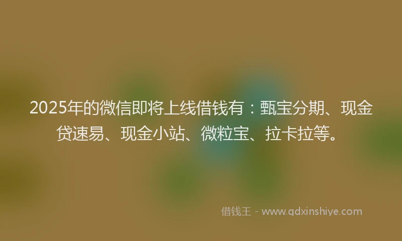 2025年的微信即将上线借钱有：甄宝分期、现金贷速易、现金小站、微粒宝、拉卡拉等。