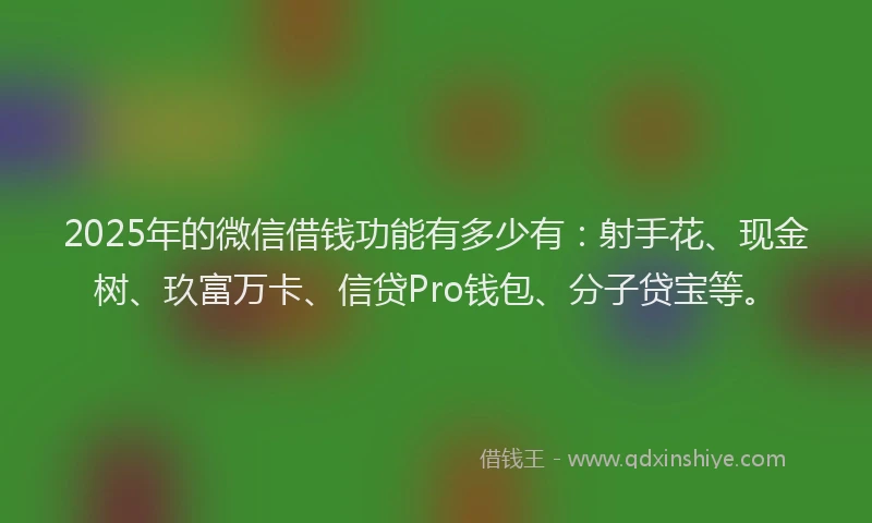 2025年的微信借钱功能有多少有：射手花、现金树、玖富万卡、信贷Pro钱包、分子贷宝等。