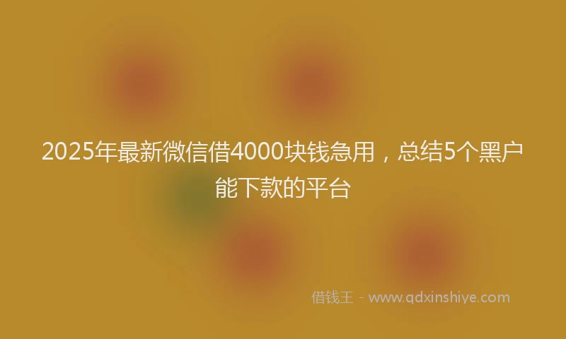2025年最新微信借4000块钱急用，总结5个黑户能下款的平台