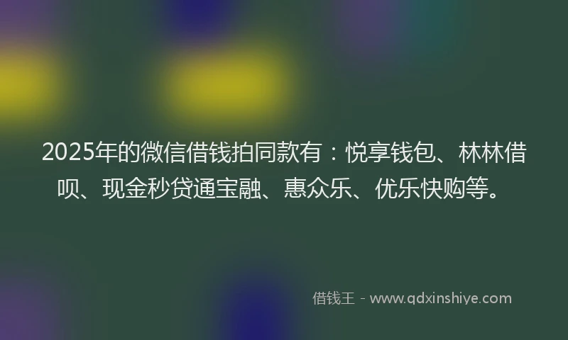 2025年的微信借钱拍同款有：悦享钱包、林林借呗、现金秒贷通宝融、惠众乐、优乐快购等。
