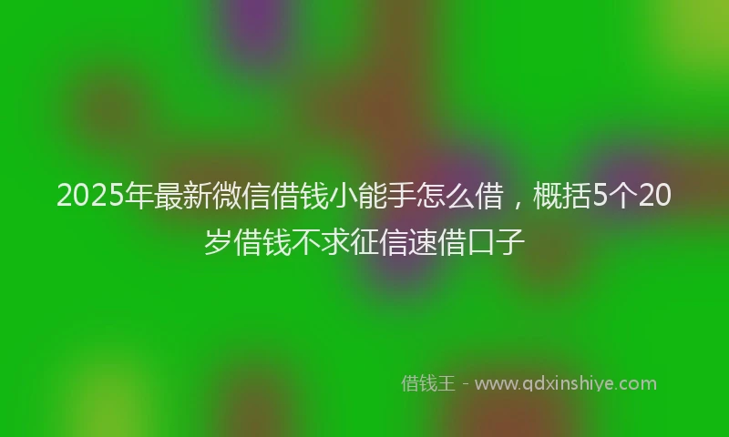2025年最新微信借钱小能手怎么借，概括5个20岁借钱不求征信速借口子