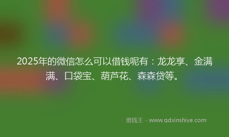 2025年的微信怎么可以借钱呢有：龙龙享、金满满、口袋宝、葫芦花、森森贷等。