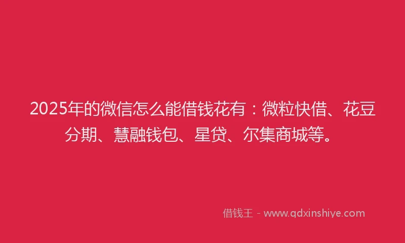 2025年的微信怎么能借钱花有：微粒快借、花豆分期、慧融钱包、星贷、尔集商城等。