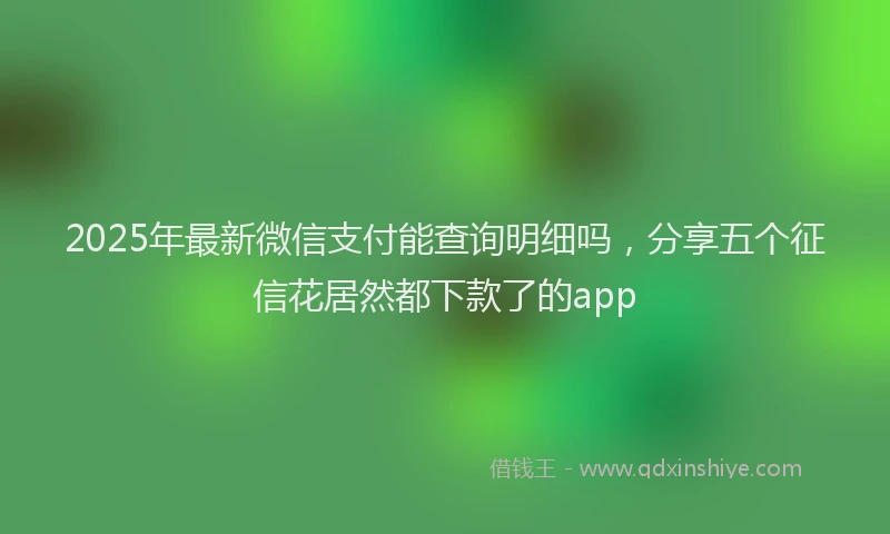 2025年最新微信支付能查询明细吗，分享五个征信花居然都下款了的app