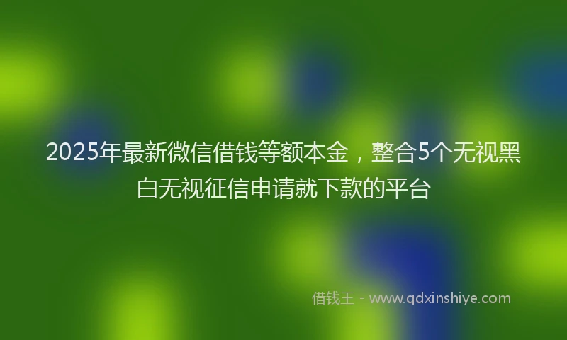 2025年最新微信借钱等额本金，整合5个无视黑白无视征信申请就下款的平台