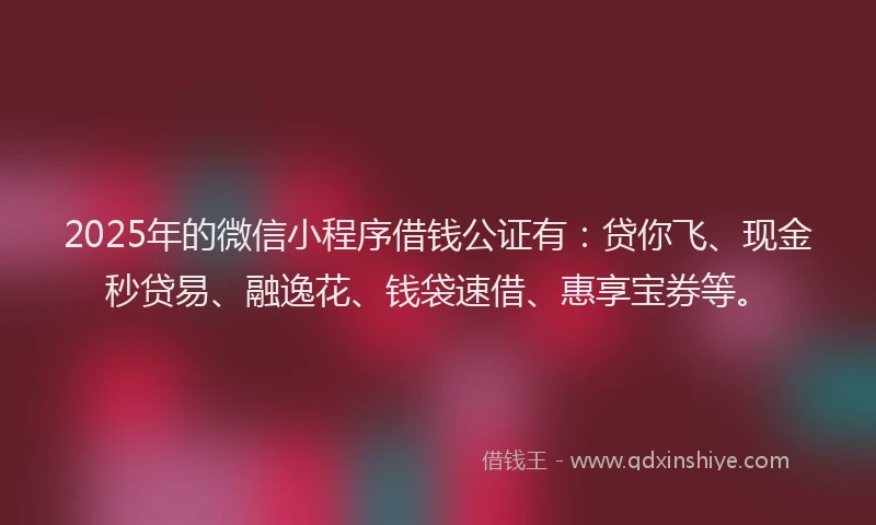 2025年的微信小程序借钱公证有：贷你飞、现金秒贷易、融逸花、钱袋速借、惠享宝券等。
