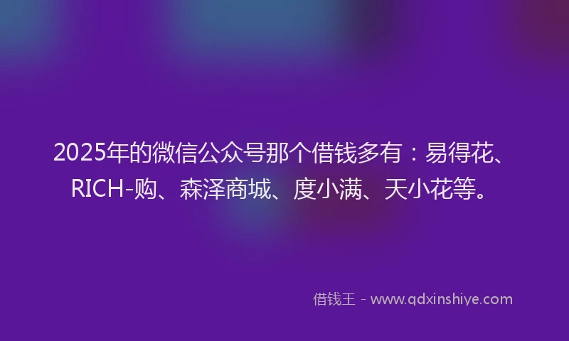 2025年的微信公众号那个借钱多有：易得花、RICH-购、森泽商城、度小满、天小花等。
