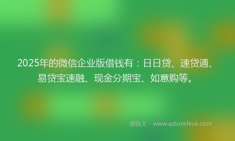 2025年的微信企业版借钱有：日日贷、速贷通、易贷宝速融、现金分期宝、如意购等。