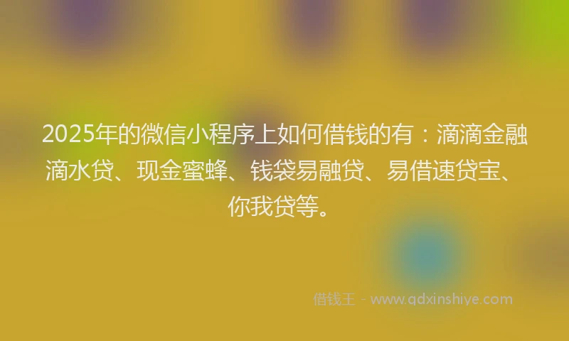 2025年的微信小程序上如何借钱的有：滴滴金融滴水贷、现金蜜蜂、钱袋易融贷、易借速贷宝、你我贷等。