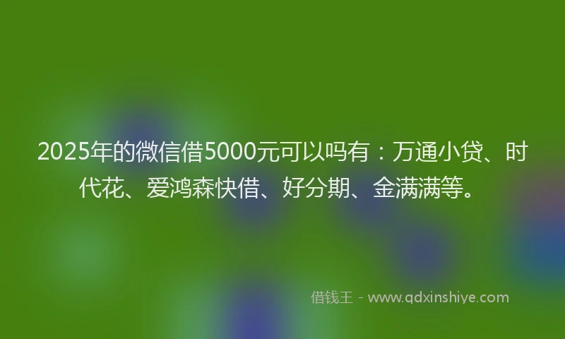 2025年的微信借5000元可以吗有：万通小贷、时代花、爱鸿森快借、好分期、金满满等。