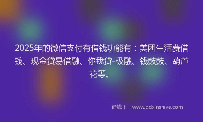 2025年的微信支付有借钱功能有：美团生活费借钱、现金贷易借融、你我贷-极融、钱鼓鼓、葫芦花等。