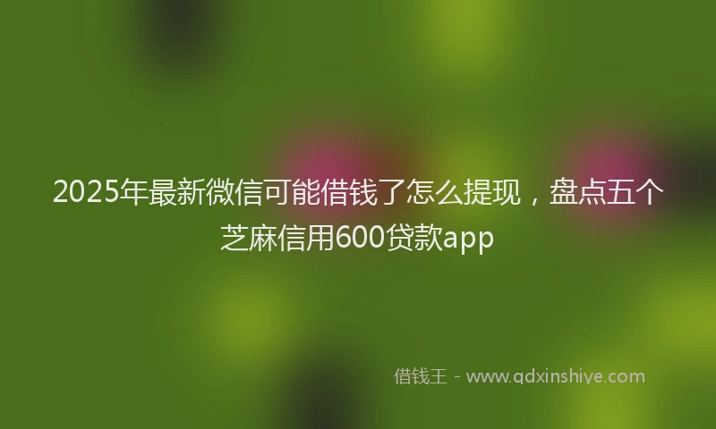 2025年最新微信可能借钱了怎么提现，盘点五个芝麻信用600贷款app