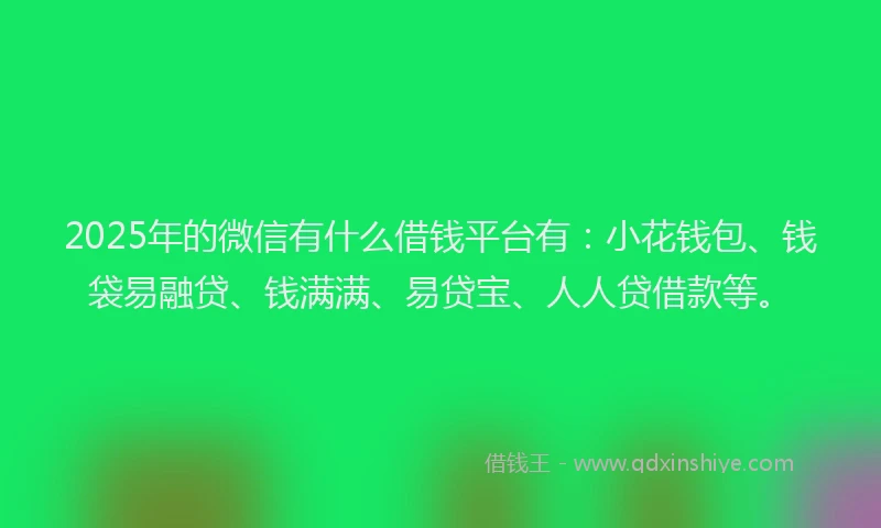 2025年的微信有什么借钱平台有：小花钱包、钱袋易融贷、钱满满、易贷宝、人人贷借款等。