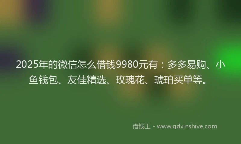 2025年的微信怎么借钱9980元有：多多易购、小鱼钱包、友佳精选、玫瑰花、琥珀买单等。