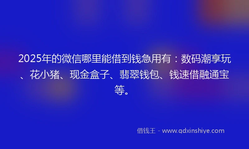 2025年的微信哪里能借到钱急用有：数码潮享玩、花小猪、现金盒子、翡翠钱包、钱速借融通宝等。