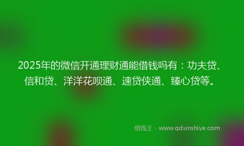 2025年的微信开通理财通能借钱吗有：功夫贷、信和贷、洋洋花呗通、速贷侠通、臻心贷等。