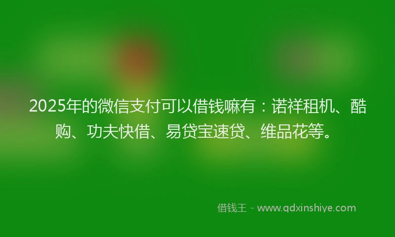 2025年的微信支付可以借钱嘛有：诺祥租机、酷购、功夫快借、易贷宝速贷、维品花等。