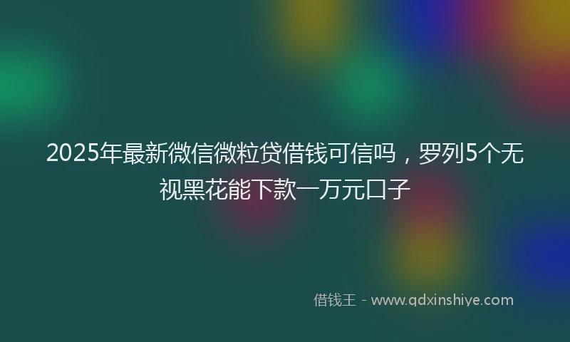 2025年最新微信微粒贷借钱可信吗，罗列5个无视黑花能下款一万元口子