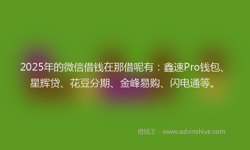 2025年的微信借钱在那借呢有：鑫速Pro钱包、星辉贷、花豆分期、金峰易购、闪电通等。
