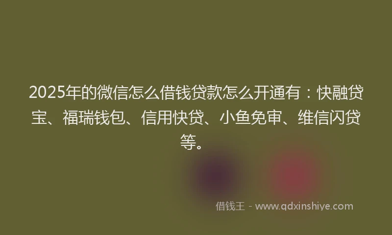 2025年的微信怎么借钱贷款怎么开通有：快融贷宝、福瑞钱包、信用快贷、小鱼免审、维信闪贷等。