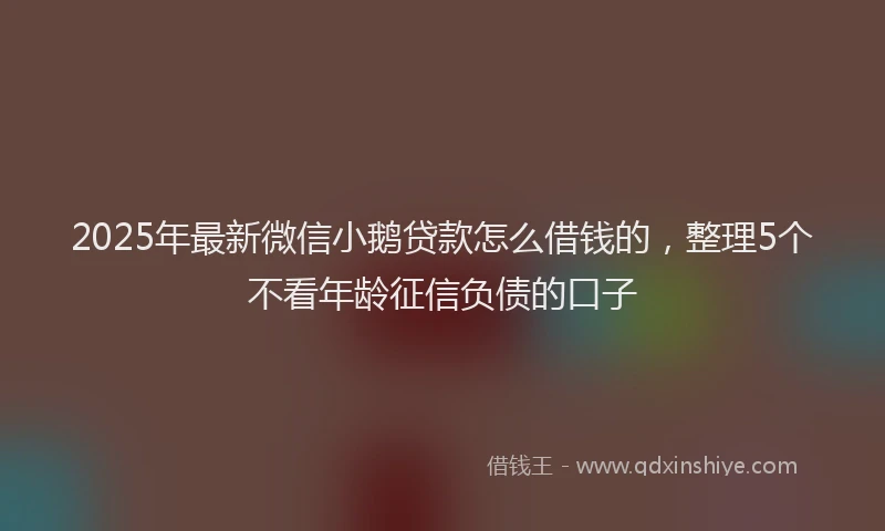 2025年最新微信小鹅贷款怎么借钱的，整理5个不看年龄征信负债的口子