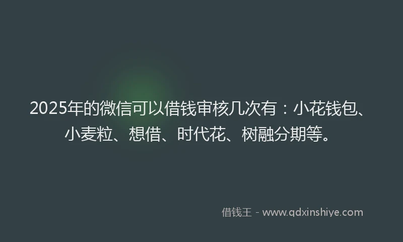 2025年的微信可以借钱审核几次有：小花钱包、小麦粒、想借、时代花、树融分期等。