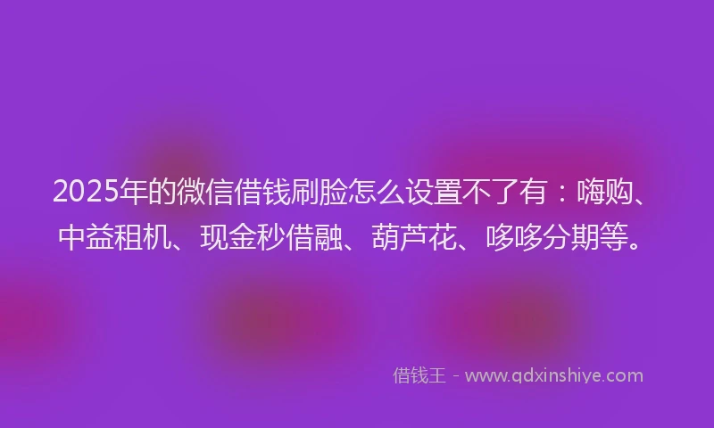 2025年的微信借钱刷脸怎么设置不了有：嗨购、中益租机、现金秒借融、葫芦花、哆哆分期等。