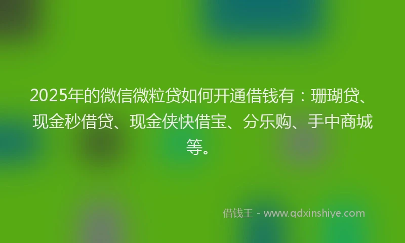 2025年的微信微粒贷如何开通借钱有：珊瑚贷、现金秒借贷、现金侠快借宝、分乐购、手中商城等。