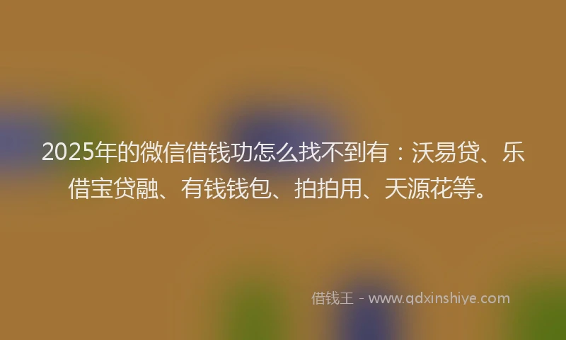 2025年的微信借钱功怎么找不到有：沃易贷、乐借宝贷融、有钱钱包、拍拍用、天源花等。