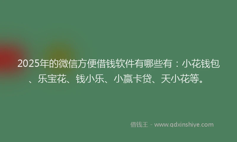 2025年的微信方便借钱软件有哪些有：小花钱包、乐宝花、钱小乐、小赢卡贷、天小花等。