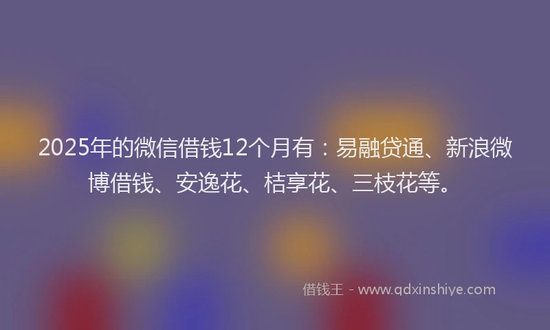 2025年的微信借钱12个月有：易融贷通、新浪微博借钱、安逸花、桔享花、三枝花等。