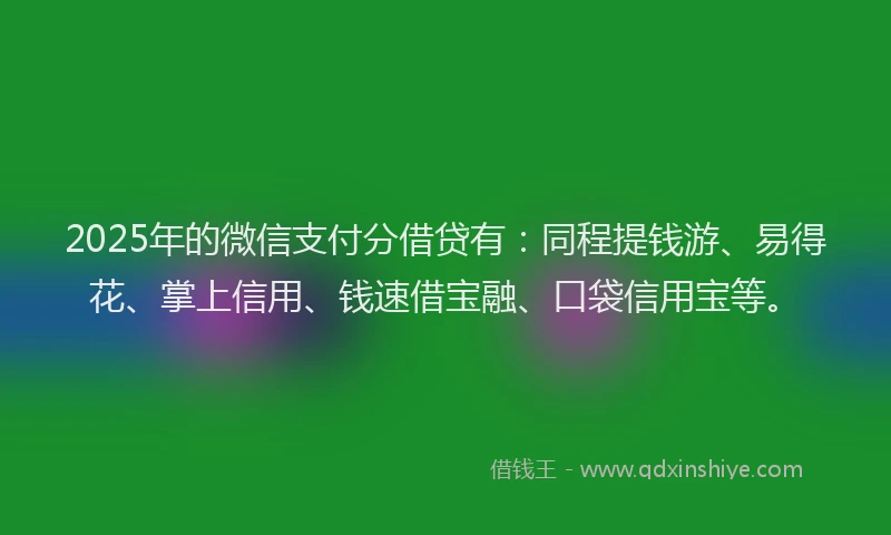 2025年的微信支付分借贷有：同程提钱游、易得花、掌上信用、钱速借宝融、口袋信用宝等。