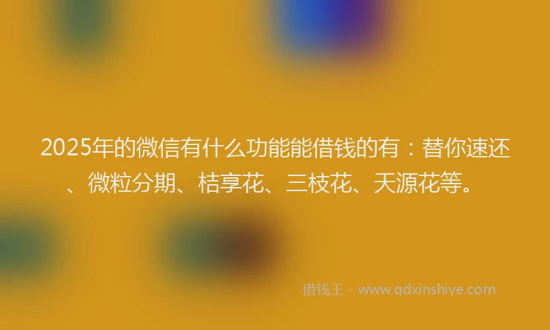 2025年的微信有什么功能能借钱的有：替你速还、微粒分期、桔享花、三枝花、天源花等。