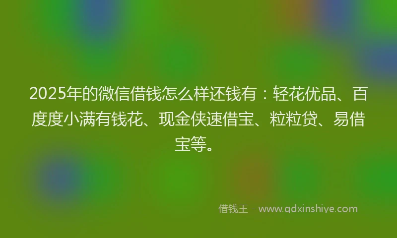 2025年的微信借钱怎么样还钱有：轻花优品、百度度小满有钱花、现金侠速借宝、粒粒贷、易借宝等。