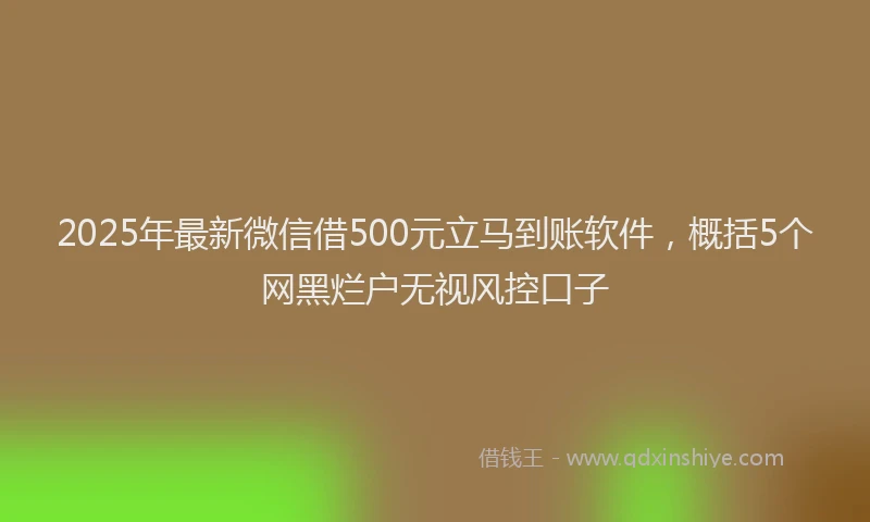 2025年最新微信借500元立马到账软件，概括5个网黑烂户无视风控口子