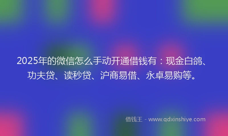 2025年的微信怎么手动开通借钱有：现金白鸽、功夫贷、读秒贷、沪商易借、永卓易购等。