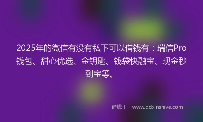2025年的微信有没有私下可以借钱有：瑞信Pro钱包、甜心优选、金钥匙、钱袋快融宝、现金秒到宝等。
