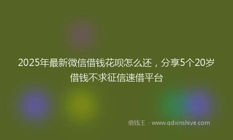 2025年最新微信借钱花呗怎么还，分享5个20岁借钱不求征信速借平台