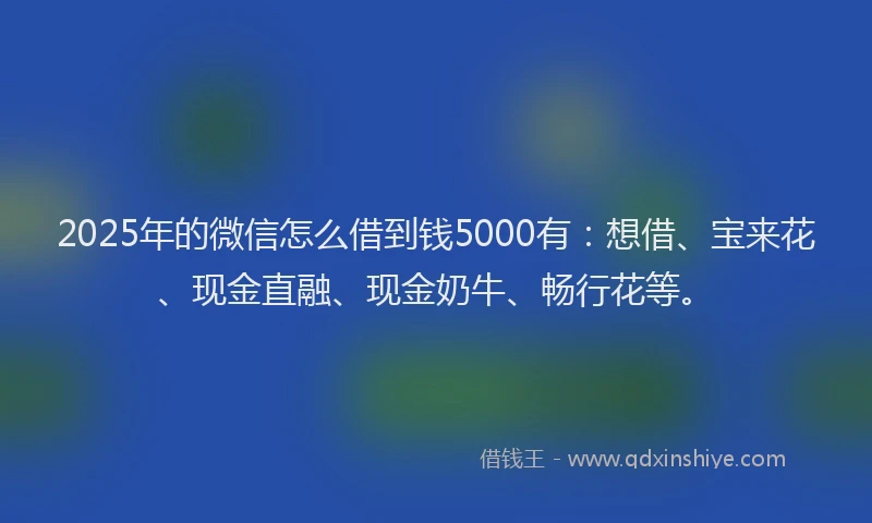 2025年的微信怎么借到钱5000有：想借、宝来花、现金直融、现金奶牛、畅行花等。