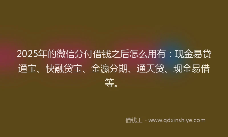 2025年的微信分付借钱之后怎么用有：现金易贷通宝、快融贷宝、金瀛分期、通天贷、现金易借等。