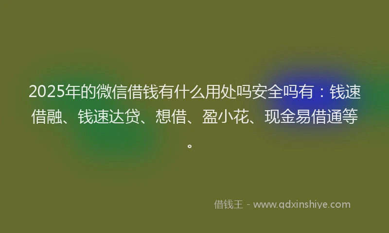 2025年的微信借钱有什么用处吗安全吗有：钱速借融、钱速达贷、想借、盈小花、现金易借通等。